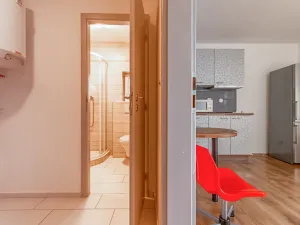 Pronájem bytu 1+kk, Mladá Boleslav, Jaselská, 30 m2