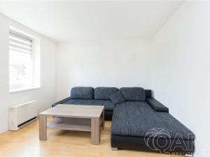 Prodej bytu 5+1, Borotín, 160 m2