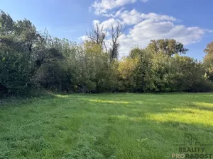 Prodej louky, Rohatec, 3793 m2