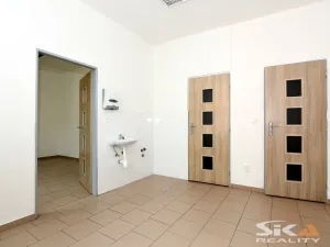 Pronájem komerční nemovitosti, Louny, Kosmonautů, 30 m2