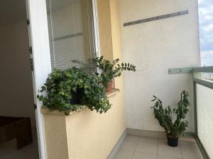 Pronájem bytu 2+1, Praha - Záběhlice, Bramboříková, 56 m2