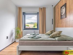 Prodej rodinného domu, Andělská Hora, 350 m2