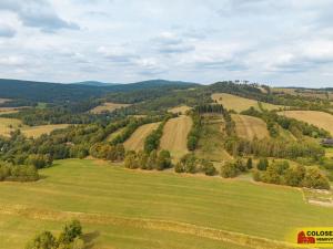 Prodej rodinného domu, Andělská Hora, 350 m2