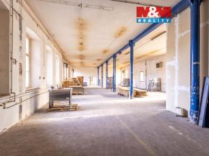 Pronájem výrobních prostor, Krásná Lípa, Stradalova, 800 m2
