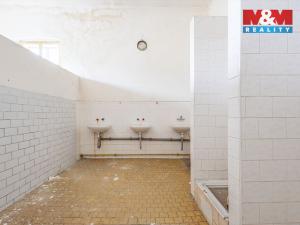 Pronájem výrobních prostor, Krásná Lípa, Stradalova, 800 m2