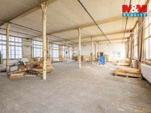 Pronájem výrobních prostor, Krásná Lípa, Bezručova, 5000 m2