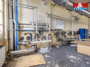 Pronájem výrobních prostor, Krásná Lípa, Bezručova, 5000 m2
