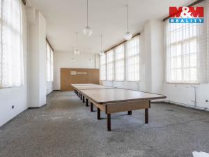 Pronájem výrobních prostor, Krásná Lípa, Bezručova, 5000 m2