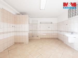 Prodej obchodního prostoru, Velká nad Veličkou, 187 m2