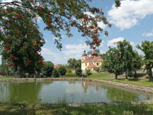 Prodej chalupy, Krty, 100 m2