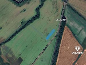 Prodej podílu pole, Čečelice, 2616 m2