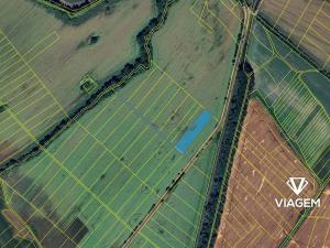 Prodej podílu pole, Čečelice, 2616 m2