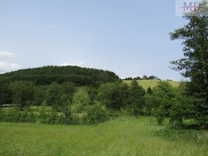 Prodej chalupy, Běšiny - Kozí, 270 m2