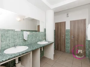 Prodej obchodního prostoru, Jihlava - Horní Kosov, Buková, 242 m2