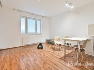 Pronájem bytu 2+kk, Brno, Říčanská, 47 m2