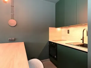 Pronájem bytu 1+kk, Praha - Modřany, Pertoldova, 30 m2