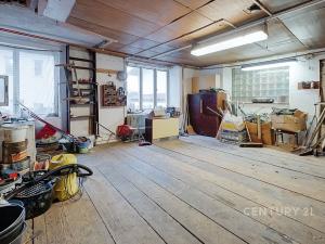 Prodej rodinného domu, Horní Cerekev, 460 m2