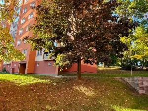 Prodej bytu 2+kk, Cheb, Dvořákova, 37 m2