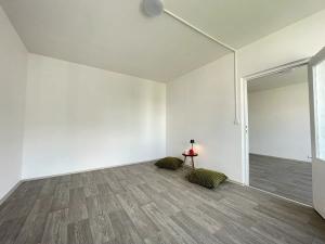 Pronájem bytu 1+1, Litvínov, Rooseveltova, 37 m2