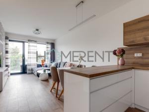 Pronájem bytu 2+kk, Praha - Hostivař, U hostivařského nádraží, 59 m2