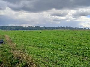 Prodej pozemku pro bydlení, Vřesina, Hradčanská, 1000 m2