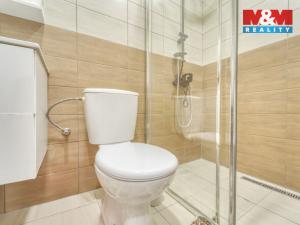 Prodej činžovního domu, Chotěšov, Starý mlýn, 353 m2