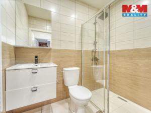 Prodej činžovního domu, Chotěšov, Starý mlýn, 353 m2