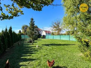 Prodej pozemku pro bydlení, Dětmarovice - Koukolná, 600 m2