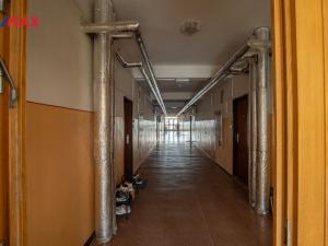 Prodej bytu 2+kk, Litvínov - Horní Litvínov, Koldům, 52 m2