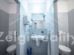 Pronájem obchodního prostoru, Brno - Židenice, 193 m2