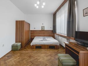 Pronájem bytu 1+kk, Praha, Krakovská, 28 m2