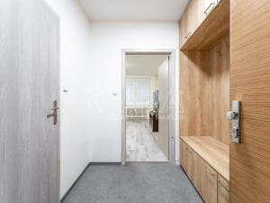 Pronájem bytu 1+kk, Brno - Líšeň, Ševelova, 30 m2