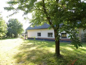 Prodej pozemku pro bydlení, Vítkov - Nové Těchanovice, 6036 m2