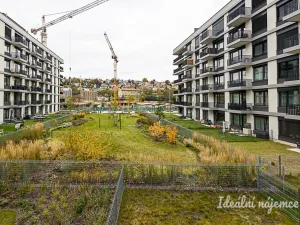 Pronájem bytu 1+kk, Praha - Vysočany, Kolbenova, 33 m2