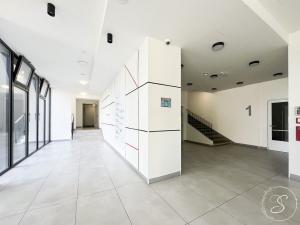 Pronájem bytu 2+kk, Praha - Vinohrady, Perucká, 45 m2