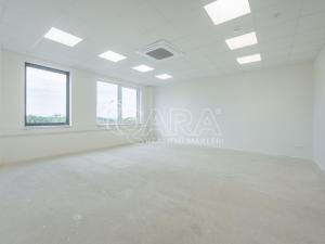 Pronájem skladu, Divišov, 2922 m2