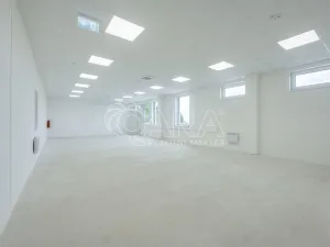 Pronájem skladu, Divišov, 2922 m2