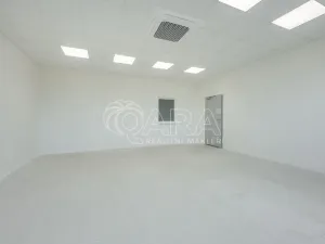 Pronájem skladu, Divišov, 2704 m2