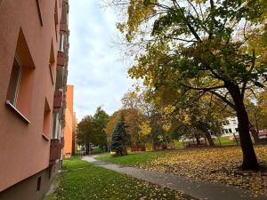 Prodej bytu 1+1, Jirkov, Smetanovy sady, 39 m2