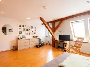 Prodej rodinného domu, Litvínov - Horní Litvínov, Rooseveltova, 277 m2