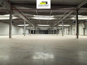 Pronájem výrobních prostor, Ostrava - Kunčičky, Rajnochova, 8000 m2