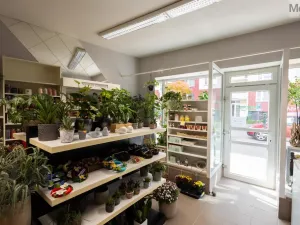 Prodej obchodního prostoru, Litvínov - Horní Litvínov, Rooseveltova, 277 m2