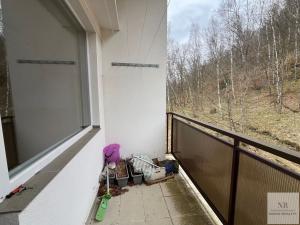 Pronájem bytu 1+1, Nejdek, Rolavská, 35 m2