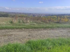 Prodej pozemku, Ořechov, 4846 m2