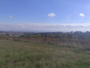 Prodej pozemku, Ořechov, 4846 m2