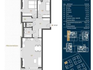 Pronájem bytu 3+kk, Opava, Císařského pluku, 80 m2