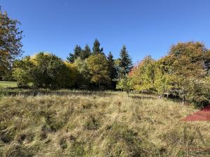 Prodej rodinného domu, Strašín - Maleč, 200 m2