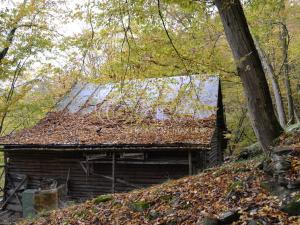 Prodej chaty, Štěchovice - Třebenice, 56 m2