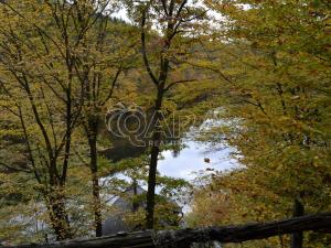 Prodej chaty, Štěchovice - Třebenice, 56 m2