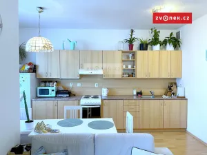 Pronájem bytu 2+kk, Zlín, Březnická, 47 m2